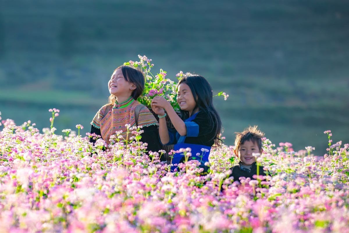 Hoa nở dọc khắp các cung đường tại Hà Giang vào mùa du xuân. Ảnh: Crystal Bay