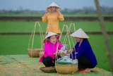 Làng cổ 500 năm sản xuất bún tại Huế, mỗi ngày làm ra 30 tấn đi khắp mọi miền