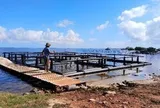 Cuba lao đao vì tôm hùm "biến mất", Việt Nam chung tay cứu ngành xuất khẩu tỷ đô