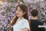 Cây bằng lăng "hot" nhất Hà Nội lúc này, giới trẻ chen chân săn ảnh