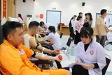 Tuổi trẻ Công ty Điện lực Lâm Đồng sôi nổi phong trào, khẳng định tinh thần xung kích