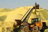 ‘Vàng của quỷ’ đang làm chao đảo ngành sản xuất lương thực toàn cầu như thế nào?