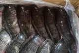 Một sản vật dưới nước của Việt Nam liên tục đón tin vui: Xuất khẩu tăng 101%, Brazil liên tục gom mua