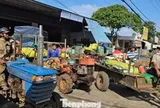 Đổ xô đi bán cà phê