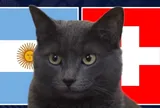 Mèo "tiên tri" dự đoán kết quả trận Argentina vs Thụy Sĩ: Liệu có kỳ tích?