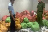 Kiểm tra kho hàng của Phùn Thị Thủy SN 1988, phát hiện loạt bao tải dứa buộc kín khả nghi: Lời khai của chủ kho hé lộ điều gì?