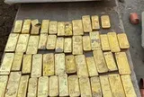 Đi làm thêm, một sinh viên 18 tuổi phát hiện loạt thỏi vàng và đồng xu trị giá 284 tỷ đồng