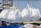 Philippines dựng thêm rào cản, gạo Việt trước bài toán tìm đầu ra