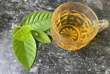 Lời khuyên dành cho tất cả những người uống nước lá ổi