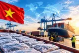 Tin vui cực lớn đến từ Brazil, Nhật Bản, Ả Rập Xê Út, mở ra “cơ hội vàng” cho Việt Nam
