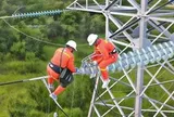 Tổng Công ty Truyền tải điện Quốc gia trước ngã rẽ tách khỏi EVN