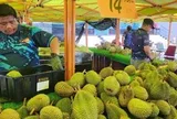 Đua với sầu riêng Việt Nam, Thái Lan, một đối thủ tính mở tuyến đường đặc biệt đi qua 4 nước, đưa sầu riêng tươi sang thị trường tỷ dân Trung Quốc