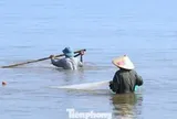 Nghề 'đi giật lùi' kiếm bộn tiền lúc sáng sớm