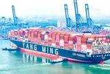 Phát hiện một siêu tàu dài gần 365 m, sức chở 15.500 TEU lần đầu tiên xuất hiện tại Việt Nam, thực hiện nhiệm vụ quan trọng