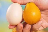 Đắt gấp 5 lần sầu riêng, láng giềng Việt Nam sở hữu báu vật nông sản được mệnh danh ‘Hermès trái cây’: Giá hơn 750.000 đồng/kg, trồng ít nhất 2 năm mới được thu hoạch