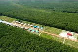 Việt Nam có một đại gia sang Campuchia xây ‘thủ phủ’ cao su: Diện tích trồng hơn 90.000 ha, thu về hàng nghìn tỷ đồng mỗi năm
