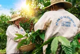 Lễ hội Cà phê Buôn Ma Thuột 2025: Thưởng thức văn hóa cà phê, tận hưởng điểm đến di sản Đắk Lắk