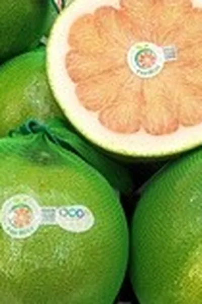 Thêm 2 loại trái cây phổ biến của Việt Nam được xuất chính ngạch sang Trung Quốc