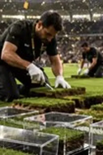 FIFA bán cả mặt sân cỏ chung kết World Cup để thu tiền