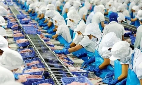 Xuất khẩu thủy sản sang Mỹ biến động do ‘ngấm’ thuế đối ứng