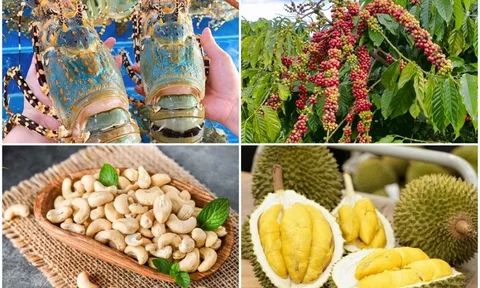 Điểm danh loạt hàng Việt Nam đạt kỷ lục xuất khẩu, nức tiếng thế giới