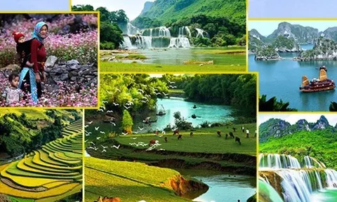 Tập trung nâng cao chất lượng, sức cạnh tranh của du lịch Việt Nam