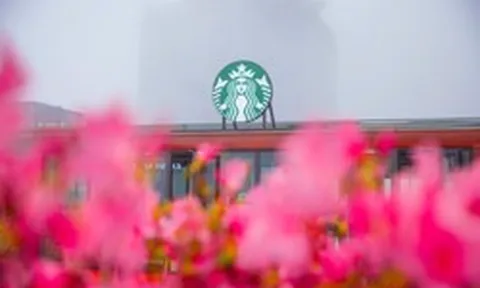 Starbucks Vietnam khai trương Starbucks Fansipan – cửa hàng Starbucks cao nhất Châu Á