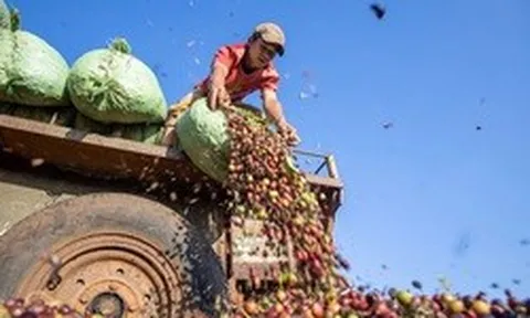 Việt Nam đón tin vui từ Campuchia