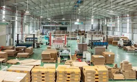 Công ty Công nghệ Bao bì Giấy Tiến Phát: Khẳng Định Vị Thế Dẫn Đầu Ngành In Ấn Carton Tại Việt Nam