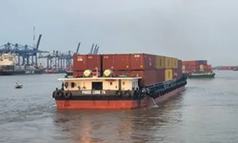 Sốt ruột với cước vận tải biển