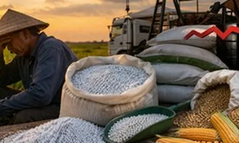 Căng thẳng Trung Đông: Phân bón trong nước tăng, nông sản lại giảm sâu - chuyện gì đang xảy ra?