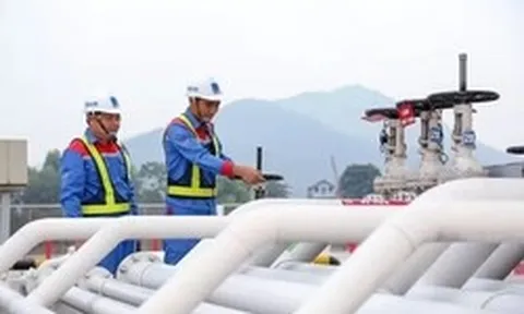 Nhập khẩu xăng dầu tăng mạnh, thương mại Việt Nam đảo chiều