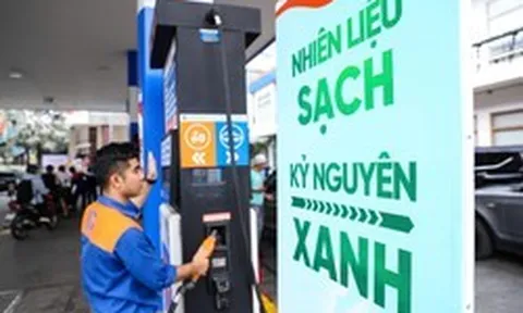 Petrolimex bán xăng E10 toàn quốc từ 20/5, nghiên cứu thêm loại cao cấp E10 RON97