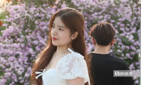 Cây bằng lăng "hot" nhất Hà Nội lúc này, giới trẻ chen chân săn ảnh