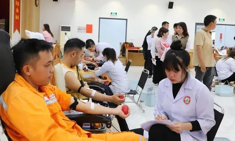 Tuổi trẻ Công ty Điện lực Lâm Đồng sôi nổi phong trào, khẳng định tinh thần xung kích