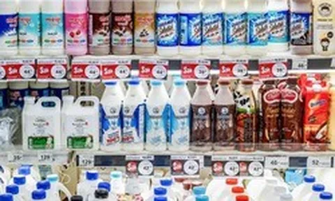 Hàng trăm tấn sữa tươi bị 'bỏ rơi' mỗi ngày, phải đem đi làm phân bón: Một thị trường Đông Nam Á bất ngờ khủng hoảng
