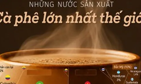 Sản vật tỷ đô giúp Việt Nam trở thành ông trùm của thế giới: chiếm thị phần 18% toàn cầu, diện tích trồng hơn 700.000 ha