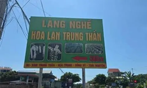 Lan đột biến từng giao dịch 1 tỷ đồng/cm nay chỉ mang treo bờ rào