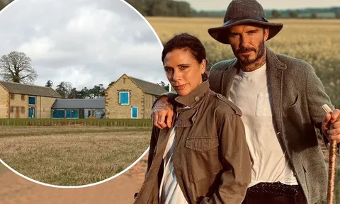 David Beckham gây chú ý với hình ảnh "bỏ phố về quê", trồng rau nuôi gà
