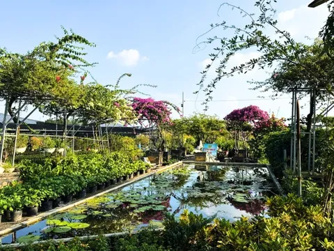 'Sắc hoa Tường Phiêu' - Sản phẩm du lịch nông thôn độc đáo của Hà thành