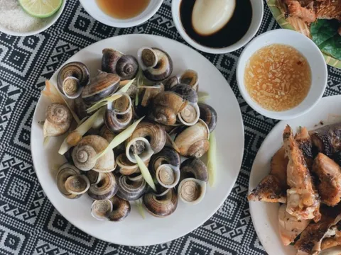 Loài vật tưởng chỉ có dưới nước, ai ngờ còn "bò" lên núi và trở thành đặc sản được săn lùng