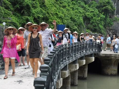 Doanh nghiệp lữ hành có khách du lịch trốn ở lại nước ngoài trái phép có thể bị phạt tới 40 triệu đồng