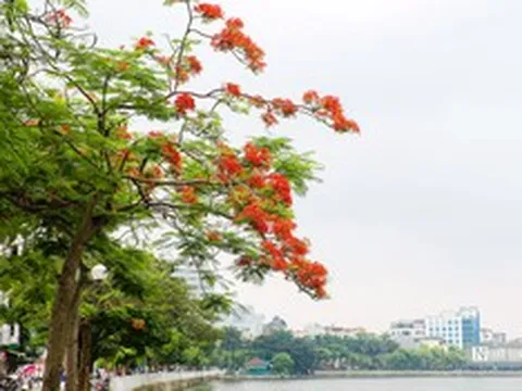 Kí ức niềm thương nhớ