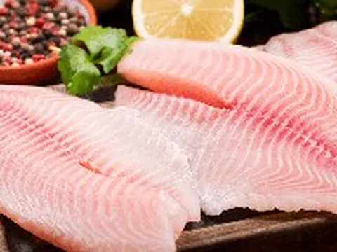 Việt Nam có loại cá được ví như "gà nước": Lần đầu lên bàn sushi Nhật Bản, xuất khẩu tăng bùng nổ 141%