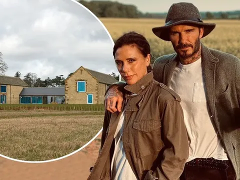 David Beckham gây chú ý với hình ảnh "bỏ phố về quê", trồng rau nuôi gà