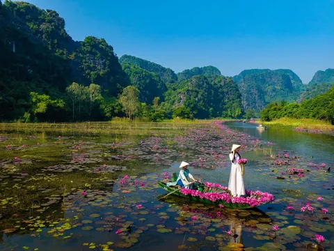Du lịch Ninh Bình: Check-in mùa hoa súng tuyệt đẹp tại Tam Cốc