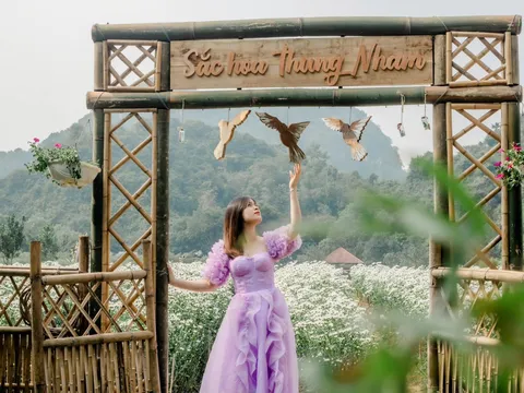 Top 5 tour Ninh Bình 1 ngày siêu tiết kiệm tín đồ mê xê dịch