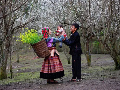 Du lịch nông thôn tại Lào Cai: "Viên ngọc quý" của vùng Tây Bắc