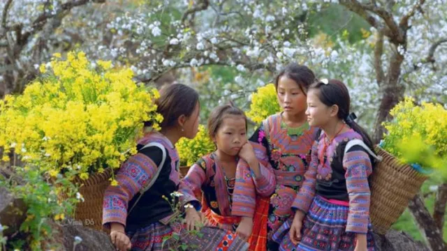 Sơn La tổ chức cuộc thi video và ảnh đẹp du lịch 2024